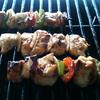 Grilled Chicken & Veggie Kabob